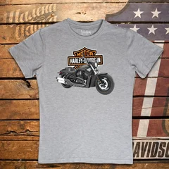 Harley Davidson, moto, bike, biker, мото, байк